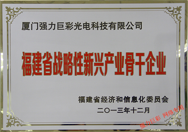 福建省戰(zhàn)略性新興產(chǎn)業(yè)骨干企業(yè)